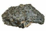 Polished Lunar Meteorite ( g) - Laayoune #266579-1